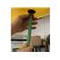Enpac Drip Dam Leak Diverter